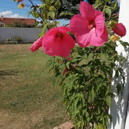 Bed & Breakfast D'hotes Le Clos De La Presle Saint-Georges-Haute-Ville